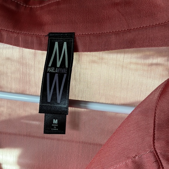 Sheer Blouse - Picture 2 of 3